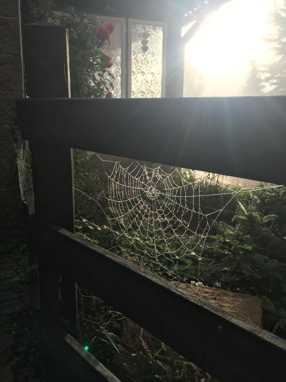 Ubytovani Doma Otel Tisá Dış mekan fotoğraf